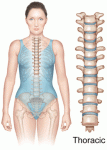 Боли в области лопаток