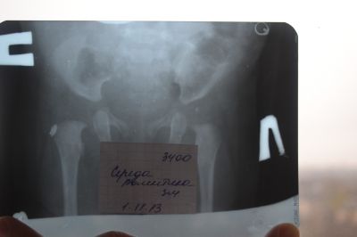 Стремена Павлика цена по Киеву