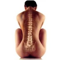 Правильное питание для позвоночника, изображение 1 - spine5.com