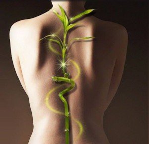 Неправильная осанка – стоит ли исправлять?, изображение 1 - spine5.com